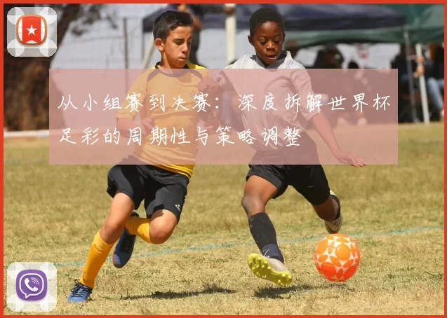 从小组赛到决赛:深度拆解世界杯足彩的周期性与策略调整