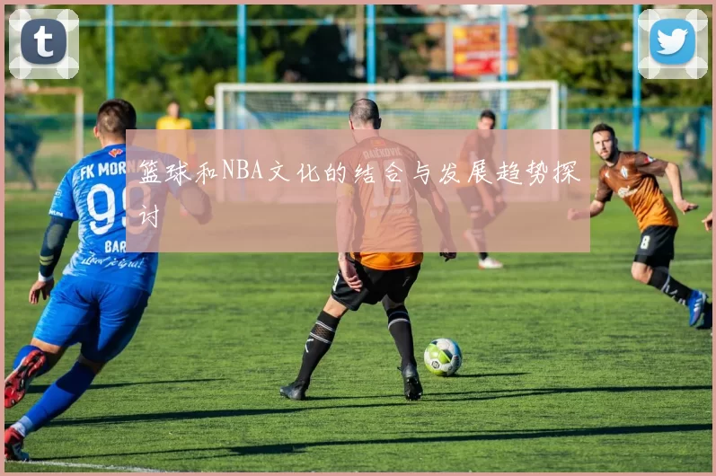 篮球和NBA文化的结合与发展趋势探讨