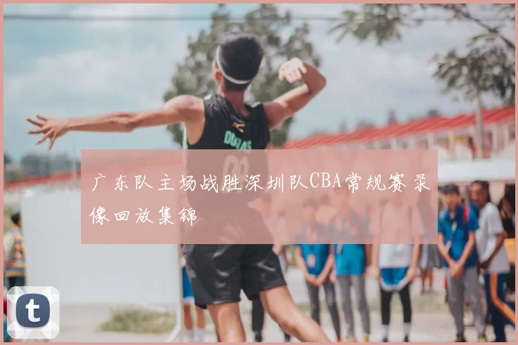 广东队主场战胜深圳队CBA常规赛录像回放集锦