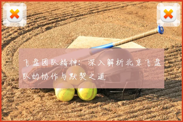 飞盘团队精神：深入解析北京飞盘队的协作与默契之道