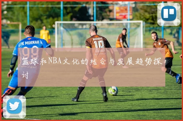 篮球和NBA文化的结合与发展趋势探讨