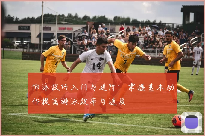 仰泳技巧入门与进阶：掌握基本动作提高游泳效率与速度