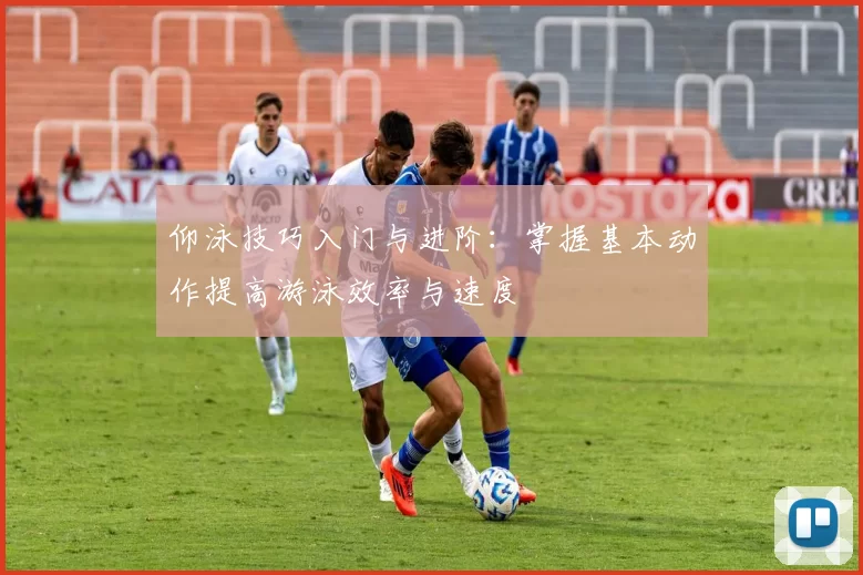 仰泳技巧入门与进阶：掌握基本动作提高游泳效率与速度