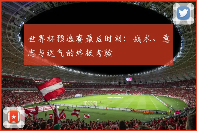 世界杯预选赛最后时刻:战术、意志与运气的终极考验