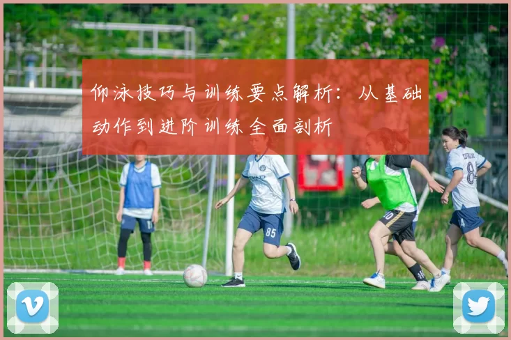 仰泳技巧与训练要点解析：从基础动作到进阶训练全面剖析